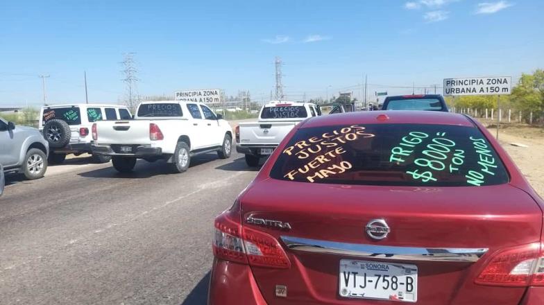 Productores del Fuerte Mayo se movilizan hacia el Valle del Yaqui