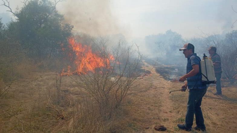 Protección civil alerta sobre aumento de incendios forestales; van 34