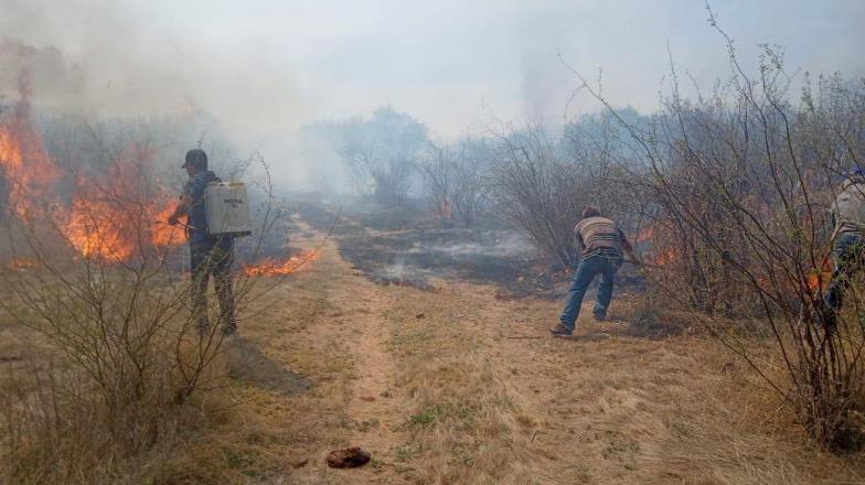 Protección civil alerta sobre aumento de incendios forestales; van 34