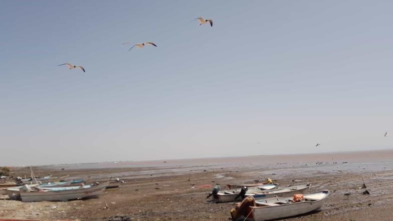 Mal tiempo y bajas mareas persisten en costas del Sur de Sonora; en el Paredón Colorado pescadores refieren bajas capturas