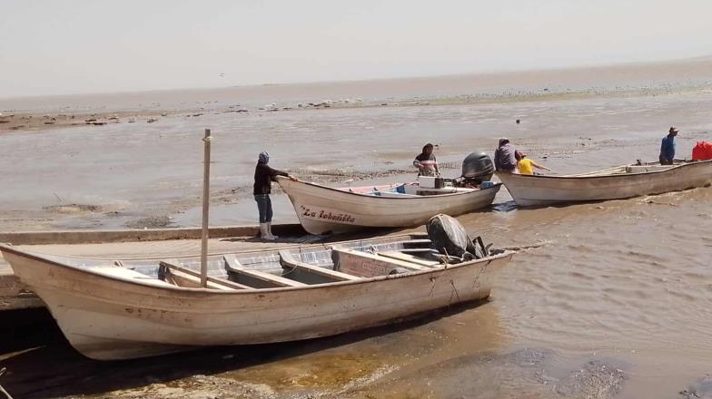 Mal tiempo y bajas mareas persisten en costas del Sur de Sonora; en el Paredón Colorado pescadores refieren bajas capturas