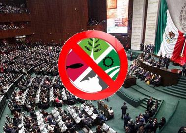 Adiós Financiera Rural, Diputados aprueban su desaparición Adiós Financiera Rural, Diputados aprueban su desaparición
