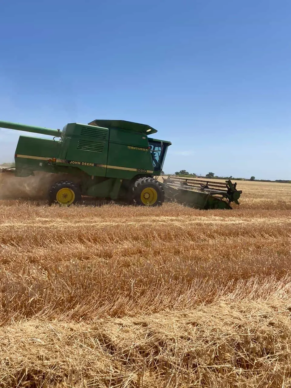 Productores del Yaqui esperan que hoy se defina el apoyo gubernamental para el trigo