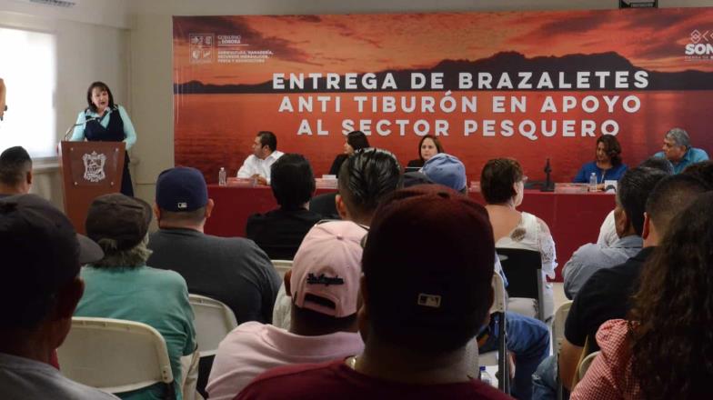 Entregan brazaletes antitiburón a pescadores de Sonora