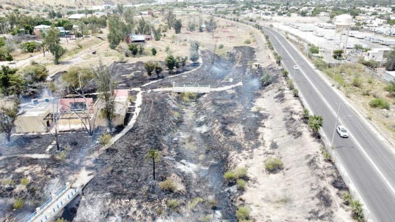 Parque La Sauceda se vuelve a incendiar en Hermosillo; creen que fue intencional