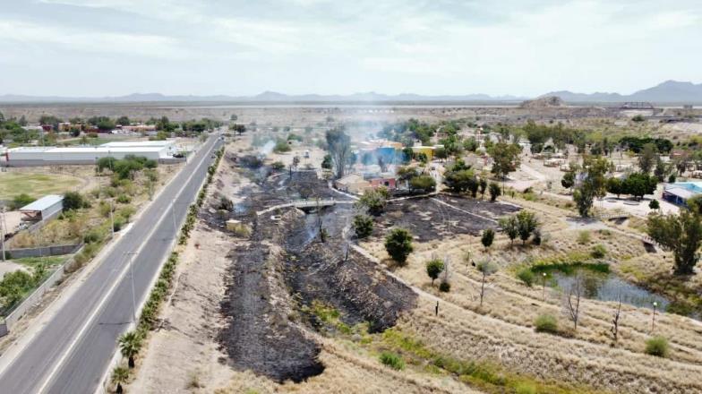 Parque La Sauceda se vuelve a incendiar en Hermosillo; creen que fue intencional