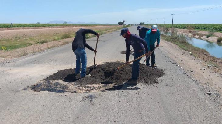 Valle del Yaqui: rehabilitan caminos por donde transitan camiones cargados de granos