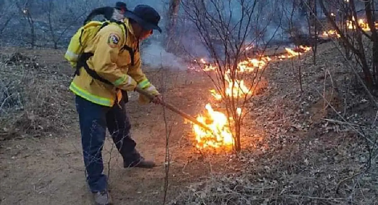 En Álamos: incendio forestal devasta tres mil hectáreas