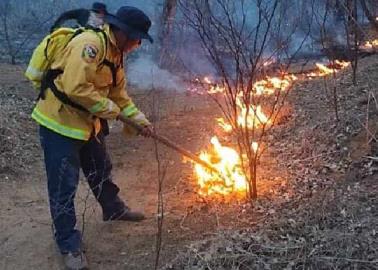 En Álamos: incendio forestal devasta tres mil hectáreas