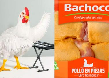 Bachoco sufre baja en sus ventas por poca demanda