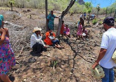 Explotan a guarijíos