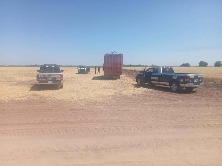 Encuentran camión que había desaparecido cargado de trigo en Cajeme Encuentran camión que había desaparecido cargado de trigo en Cajeme
