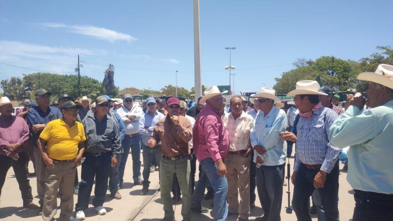 Productores de trigo y maíz del sur de Sonora se movilizan a Sinaloa; logran abrirse paso tras ser bloqueados en la carretera