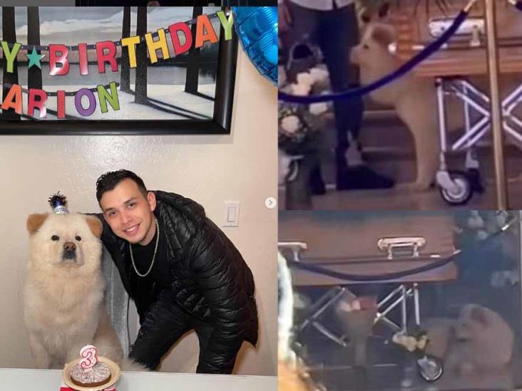 VIDEO | Amigo fiel: perrito de Carlos Parra estuvo con él hasta su último adiós VIDEO | Amigo fiel: perrito de Carlos Parra estuvo con él hasta su último adiós