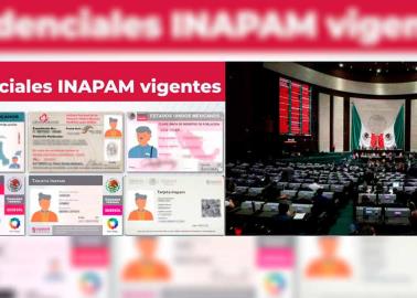 Inapam: ¿Podrían desaparecer descuentos junto con la tarjeta?
