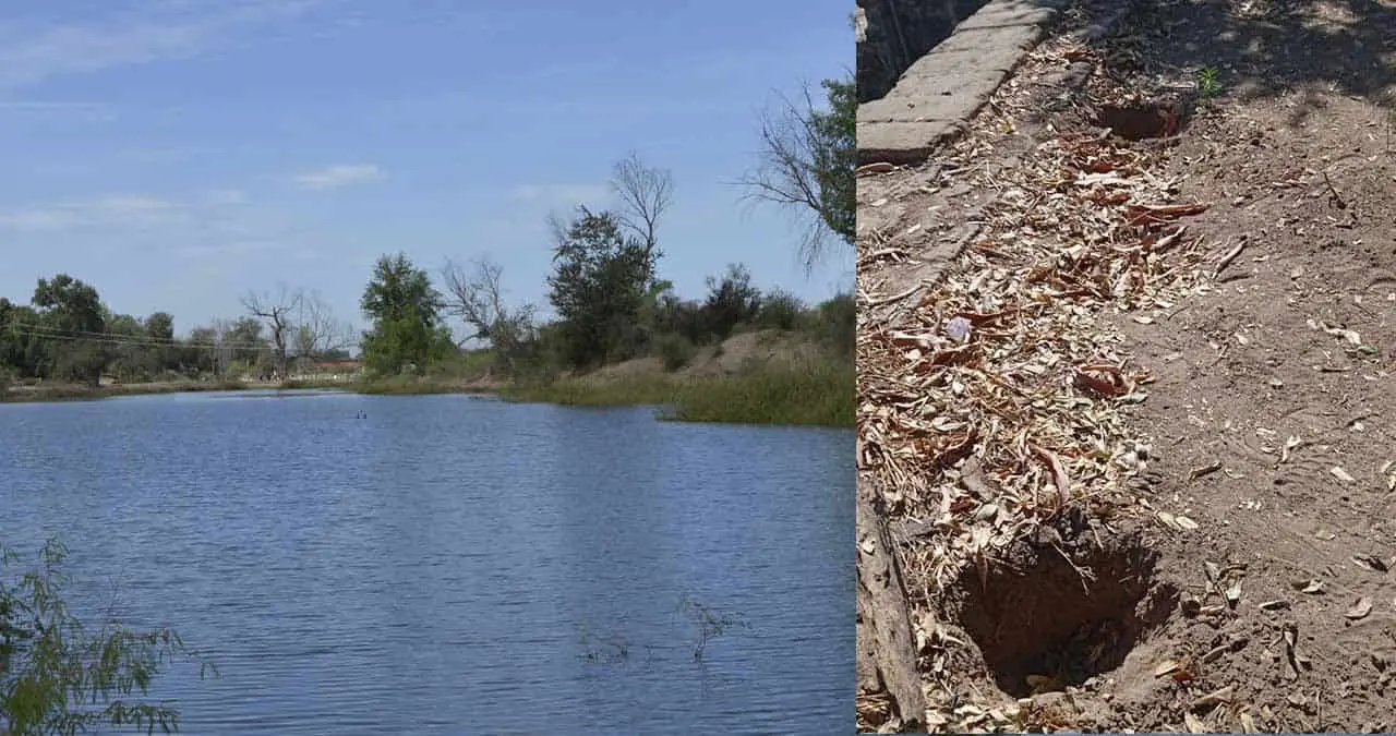 Vandalismo en el Río Mayo
