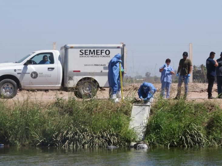 Identifican a hombre en Canal Bajo; vivía en la colonia Casa Blanca en Cajeme Identifican a hombre en Canal Bajo; vivía en la colonia Casa Blanca en Cajeme