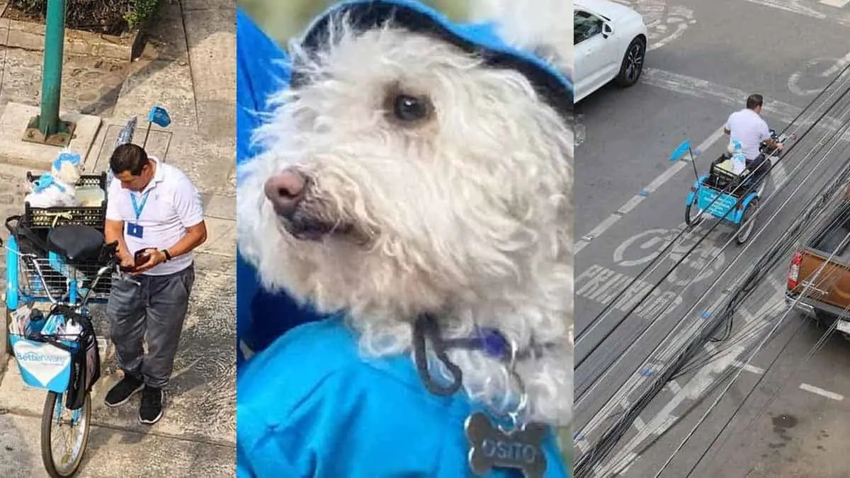 "Perrito Betterware" enternece las redes al entregar productos en bicicleta