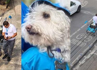 “Perrito Betterware” enternece las redes al entregar productos en bicicleta “Perrito Betterware” enternece las redes al entregar productos en bicicleta