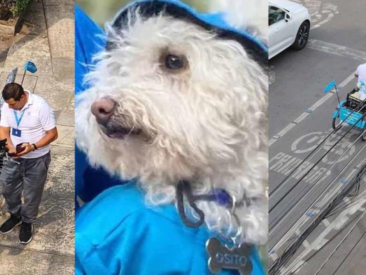 “Perrito Betterware” enternece las redes al entregar productos en bicicleta “Perrito Betterware” enternece las redes al entregar productos en bicicleta