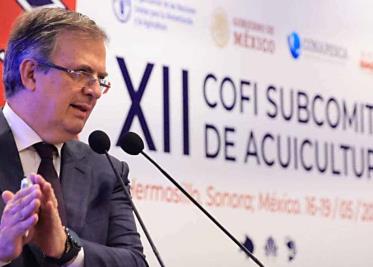 Crecerá acuacultura Crecerá acuacultura