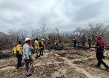 Liquidan incendio en Navojoa; pero aún persisten 2 incendios más en Sonora Liquidan incendio en Navojoa; pero aún persisten 2 incendios más en Sonora