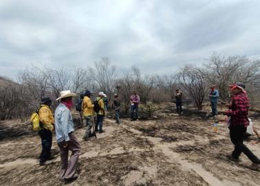 Liquidan incendio en Navojoa; pero aún persisten 2 incendios más en Sonora