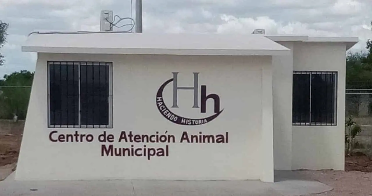 Remodelarán centro para atender  animales
