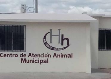 Remodelarán centro para atender animales Remodelarán centro para atender animales