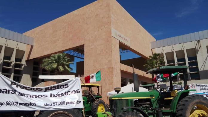 Productores agrícolas que se manifiestan por fuera de la Sader en Cajeme, hoy deciden posible toma del Aeropuerto, Pemex o el SAT Productores agrícolas que se manifiestan por fuera de la Sader en Cajeme, hoy deciden posible toma del Aeropuerto, Pemex o el SAT