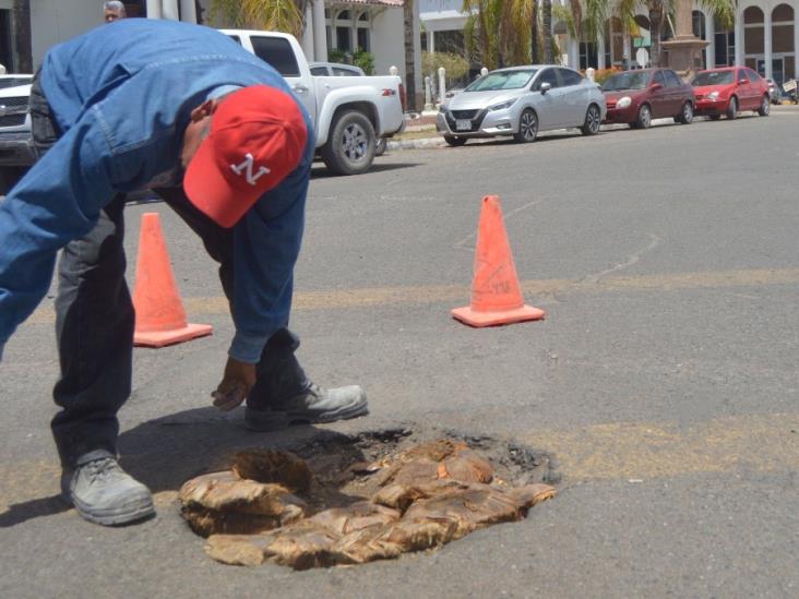 Coco-baches crea polémica en Navojoa Coco-baches crea polémica en Navojoa