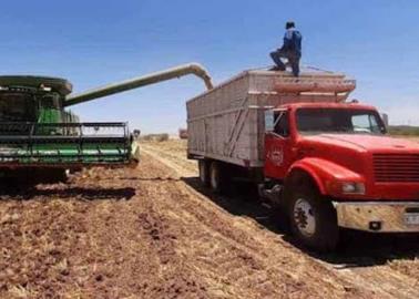 Incertidumbre en ejidatarios por la indefinición de precios