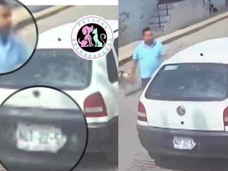 Identifican a hombre que arrojó a un perrito en un cazo de aceite hirviendo Identifican a hombre que arrojó a un perrito en un cazo de aceite hirviendo