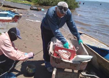 Pescadores del sur de Sonora piden despensas