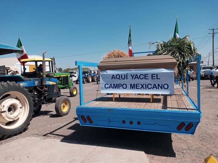 Empresarios de Sonora respaldan plantón de agricultores en la Sader en Cajeme Empresarios de Sonora respaldan plantón de agricultores en la Sader en Cajeme