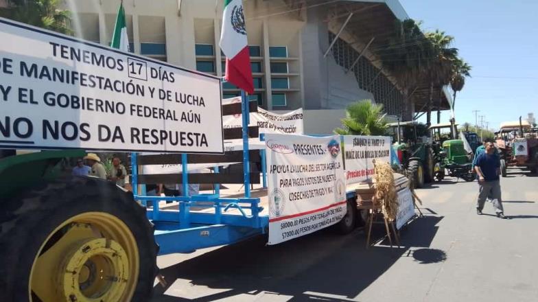 Productores de Sonora continuarán con el plantón frente a Sader; consideran mínimo el avance en el precio del trigo