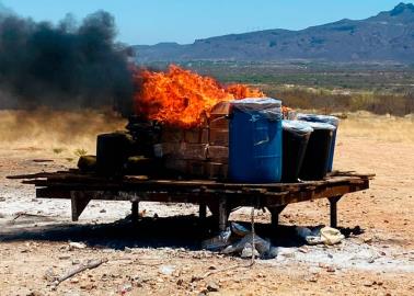 Guaymas: Incineran más de media tonelada de drogas