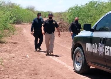 Cajeme: Abaten a cinco presuntos gatilleros en San Ignacio Río Muerto