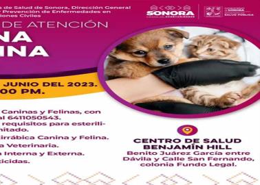 ¿Deseas esterilizar o vacunar a tu mascota? Entérate dónde realizará la Secretaría de Salud su próxima jornada