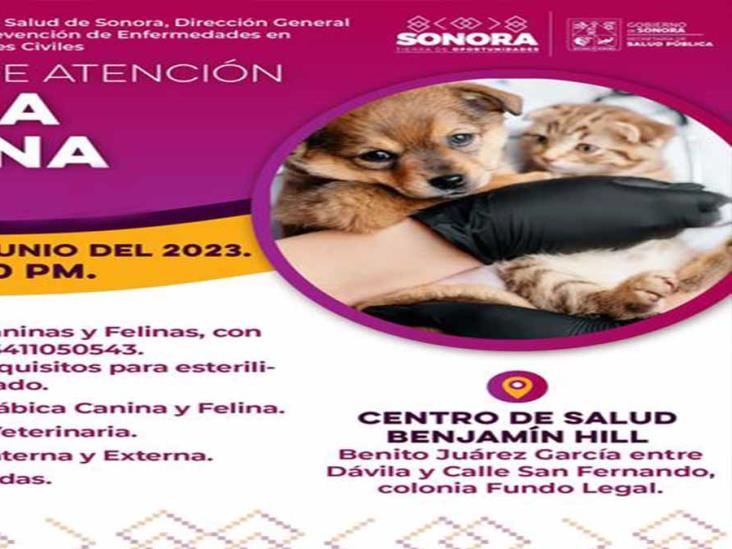 ¿Deseas esterilizar o vacunar a tu mascota? Entérate dónde realizará la Secretaría de Salud su próxima jornada ¿Deseas esterilizar o vacunar a tu mascota? Entérate dónde realizará la Secretaría de Salud su próxima jornada