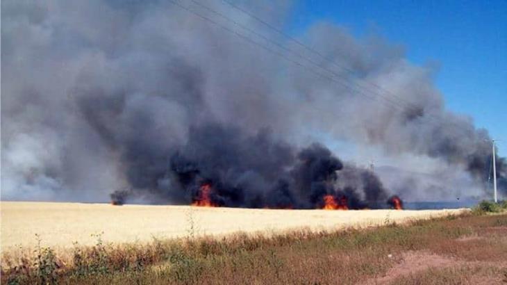 Se presenta otra quema de gavilla en el Valle del Yaqui; fueron 11 hectáreas las afectadas en Cajeme