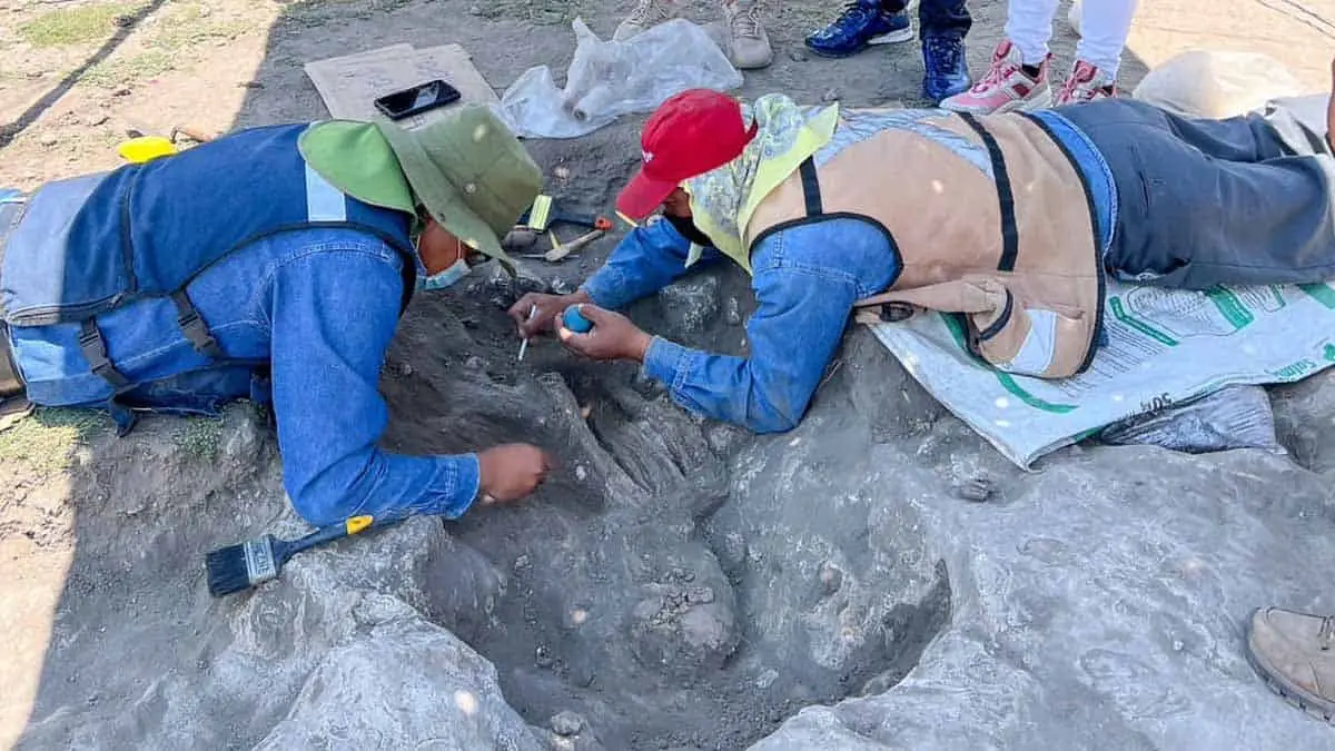 Trabajadores construían un Walmart en Hidalgo y descubren tesoro tolteca