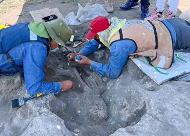 Trabajadores construían un Walmart en Hidalgo y descubren tesoro tolteca