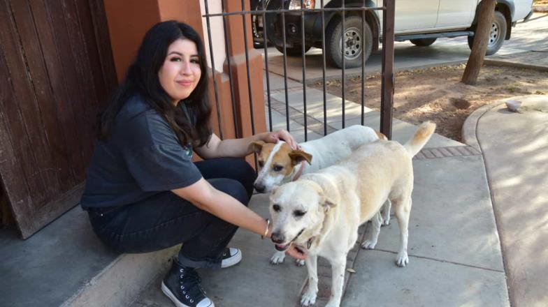 Chuchos de Cócorit. Jóvenes crean calcomanías de perros rescatados para fomentar el apoyo de la comunidad