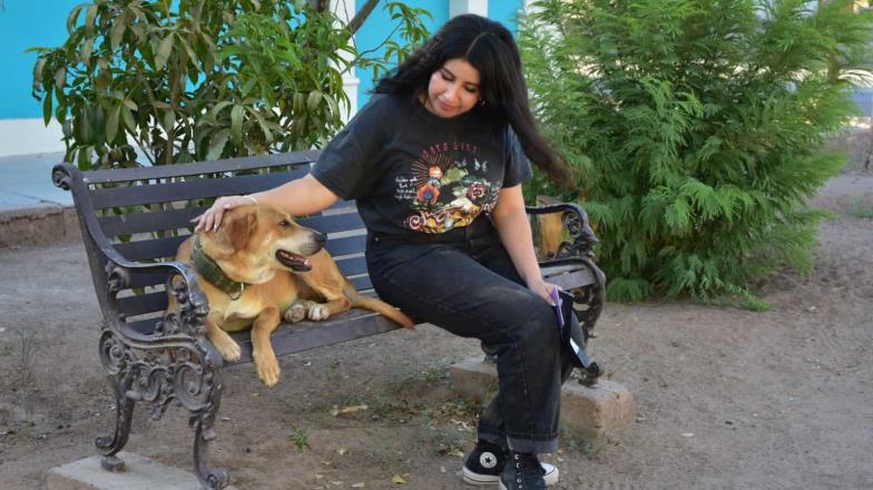 Chuchos de Cócorit. Jóvenes crean calcomanías de perros rescatados para fomentar el apoyo de la comunidad