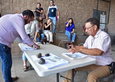 Vehículos chocolate. Detectan fraudes en este tipo de unidades en Sonora