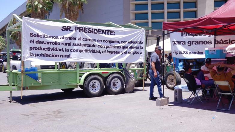 Productores de Sonora que mantienen plantón en Sader, tomarán la carretera. Endurecen acciones