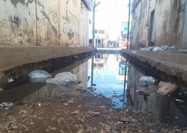 Callejón en el Centro de Ciudad Obregón, un foco de infección y de riesgo a la salud