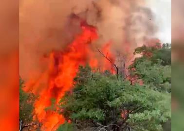 Atienden Protección Civil y diversas autoridades incendio forestal en Ímuris