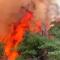 Atienden Protección Civil y diversas autoridades incendio forestal en Ímuris